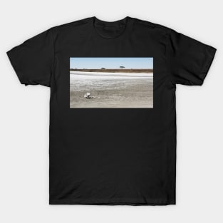 Death, & Dead Lake, Tanzania T-Shirt